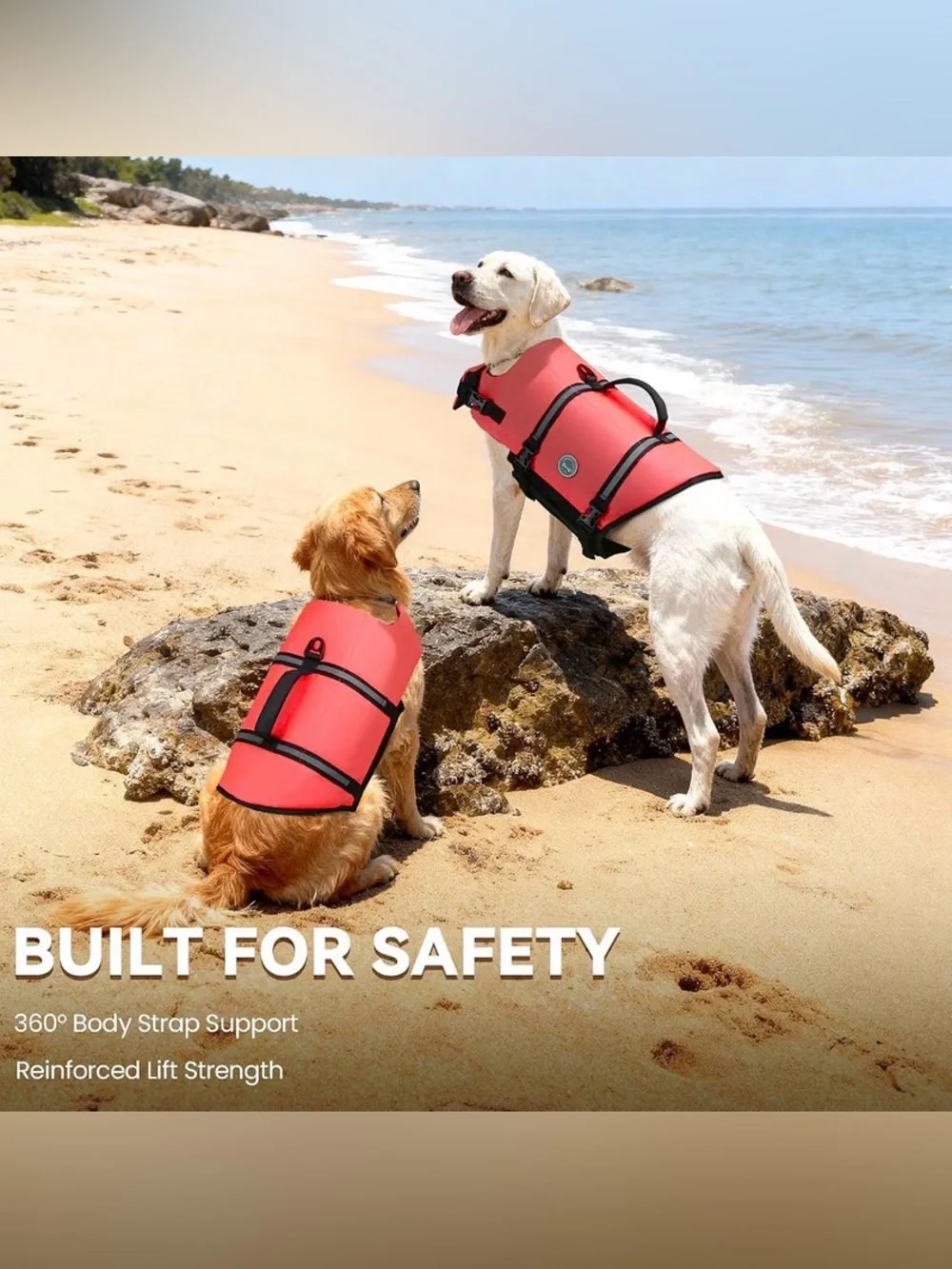 Dog life jacket